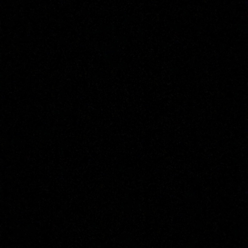 Meet your Posher, Paloma